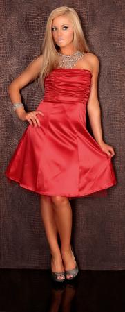 Petticoat Kleid rot